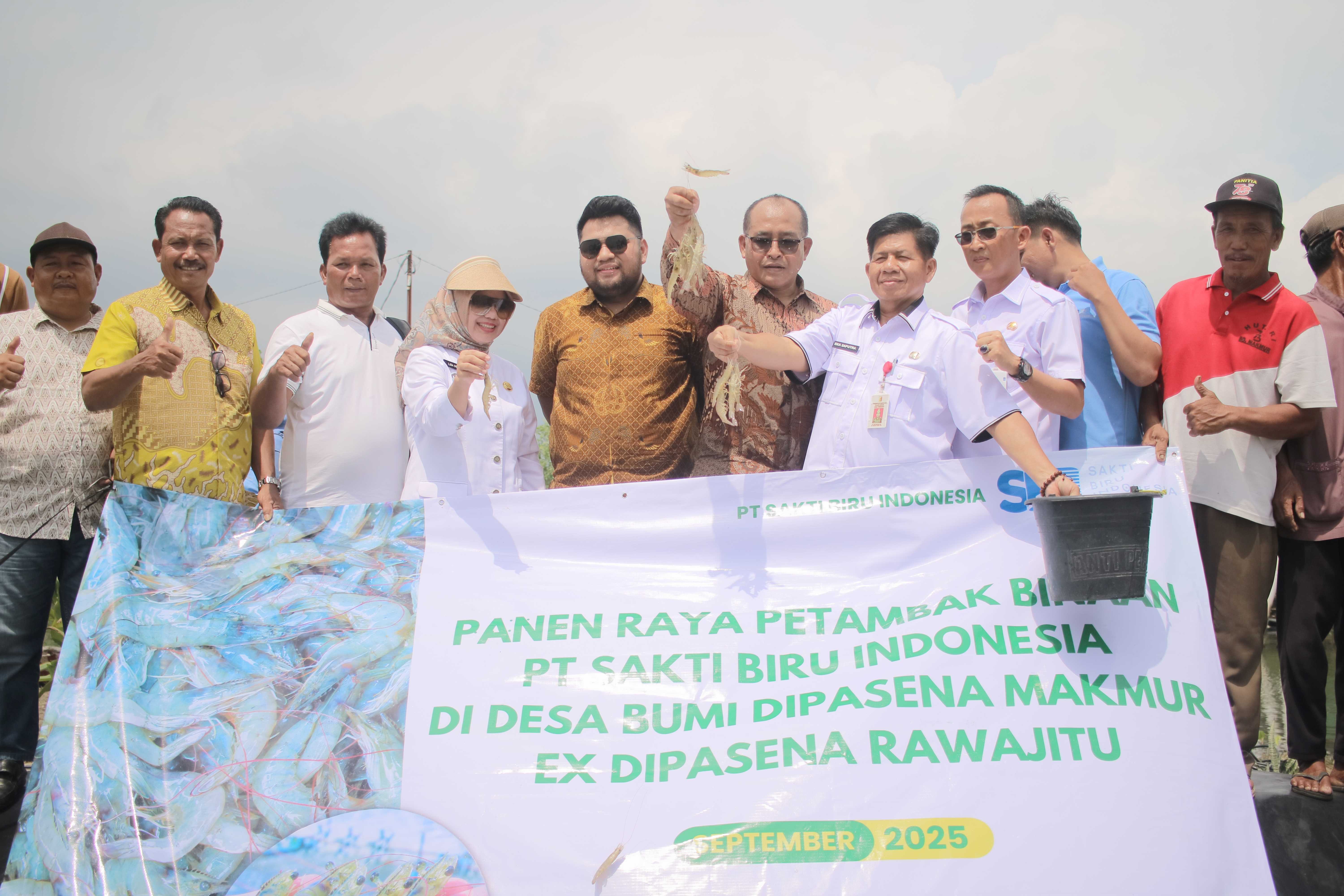 Panen Perdana Kemitraan SBI dan Eks-Dipasena: Awal Kebangkitan Tambak Udang Lampung