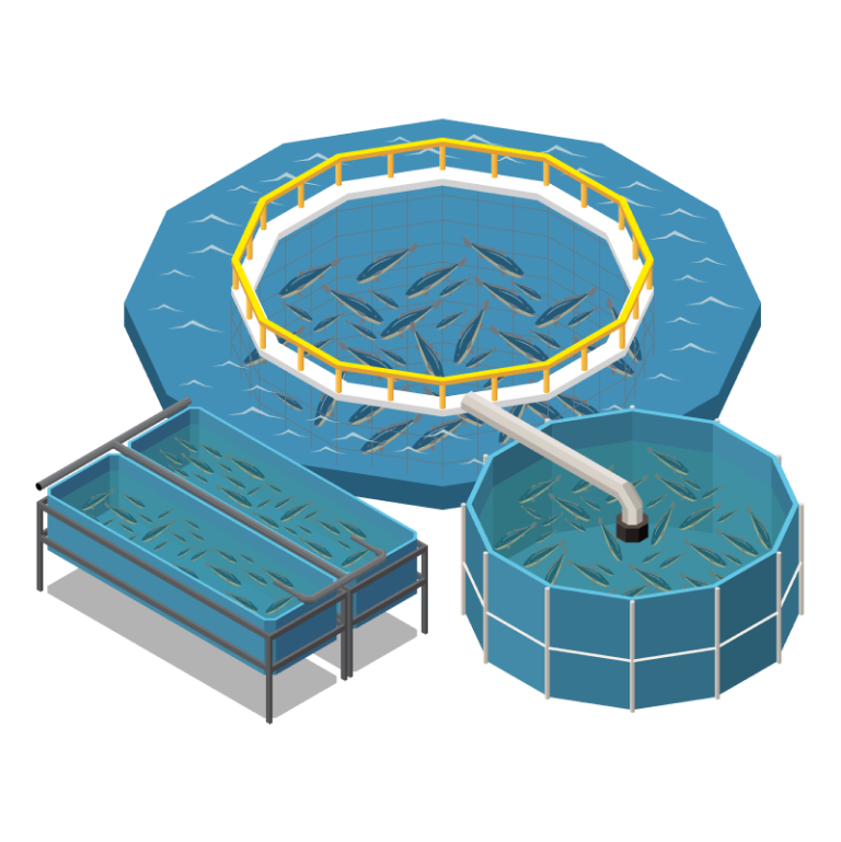 fish-pool